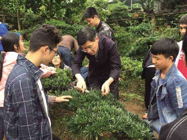 园林人才的认定标准是什么