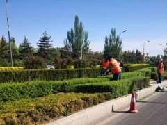 园林整形修剪怎么使用伤口保护涂抹剂