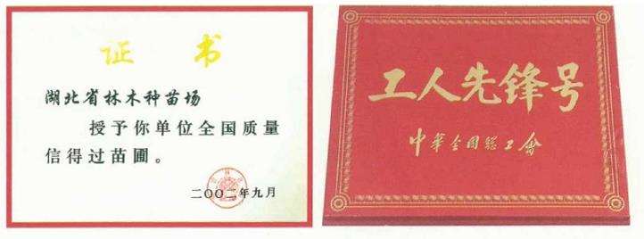 湖北有200余个品种的良种苗木