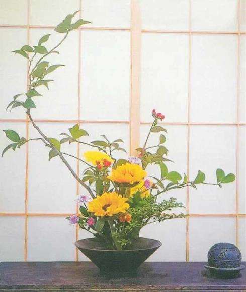 武汉市第38届金秋菊展汉阳展