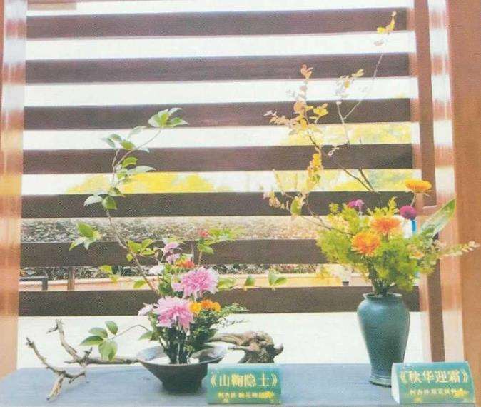 武汉市第38届金秋菊展汉阳展
