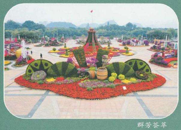 广西柳州春花秋水画卷花卉展