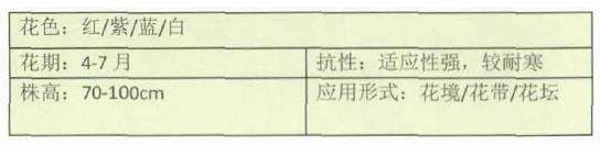 4种打卡草花类花园植物 图片