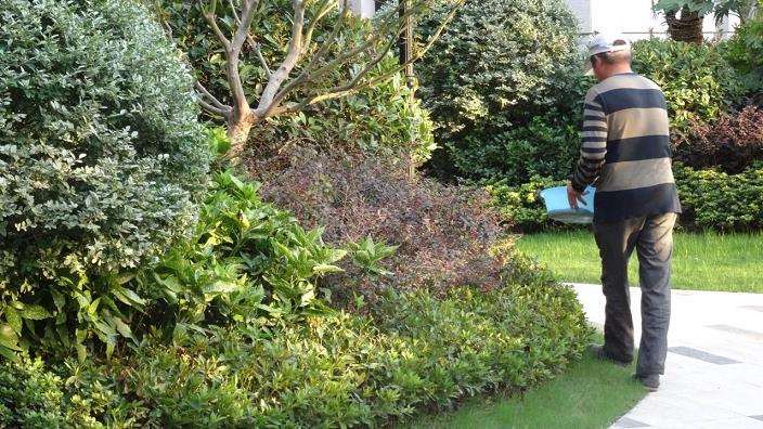 冬季寒冷季怎么园林养护管理的6个方法