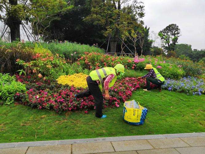 冬季寒冷季怎么园林养护管理的6个方法