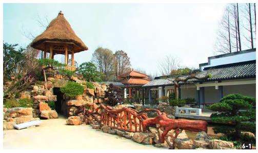 上海植物园盆景园的6个总体布局