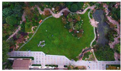 上海植物园盆景园的6个总体布局