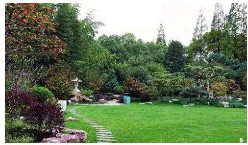 上海植物园盆景园的6个总体布局