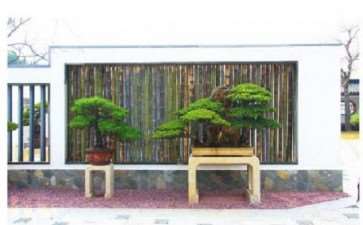 上海盆景园怎么展示规划的5个步骤