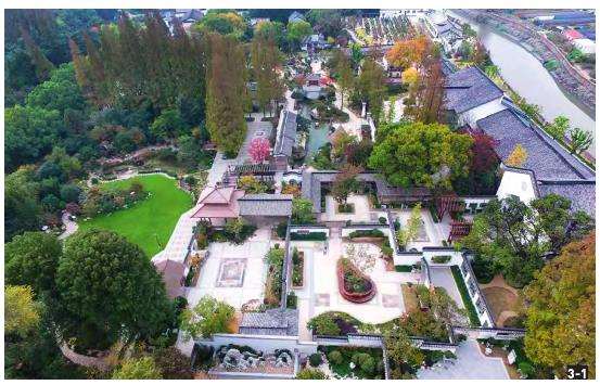 上海植物盆景园怎么改造规划的4个策略