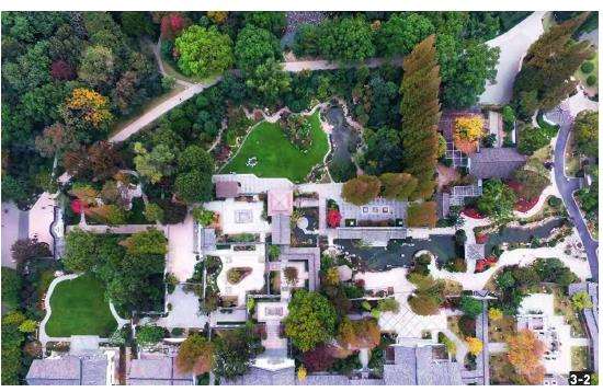 上海植物盆景园怎么改造规划的4个策略