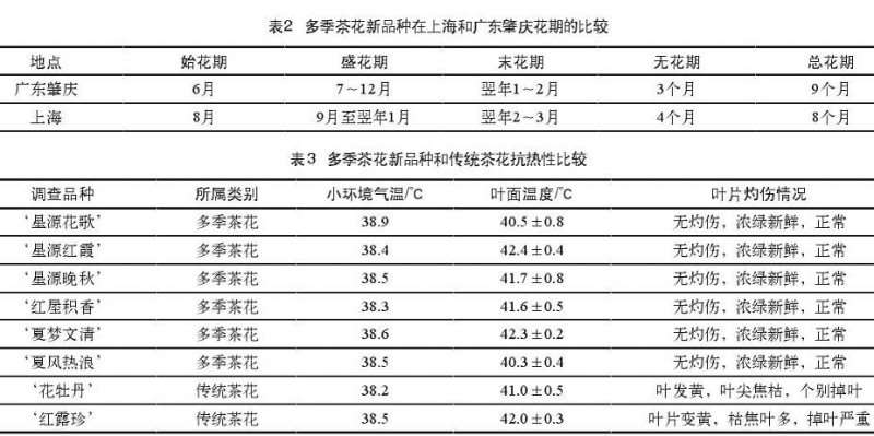 上海多季茶花对土壤ph适应性 图片