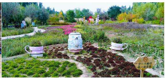 节约型园林绿地怎么设计研究的3个方法