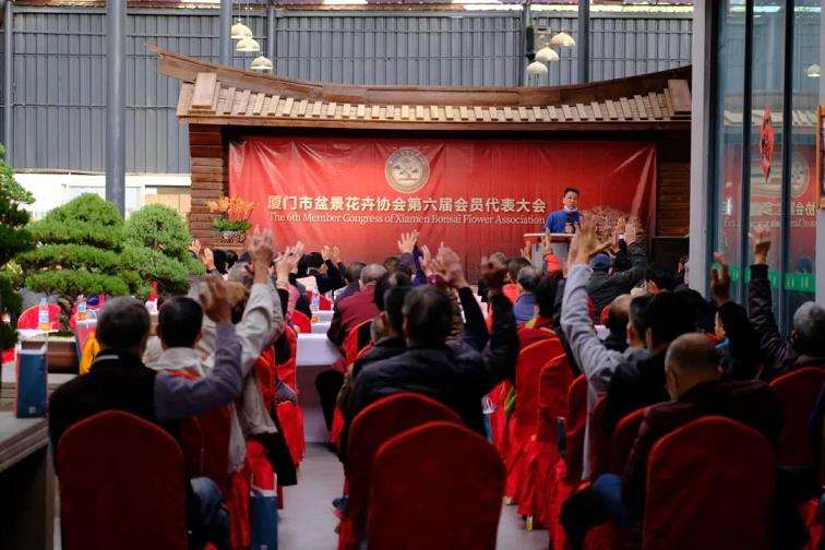 2022 厦门第六届盆景会员代表大会
