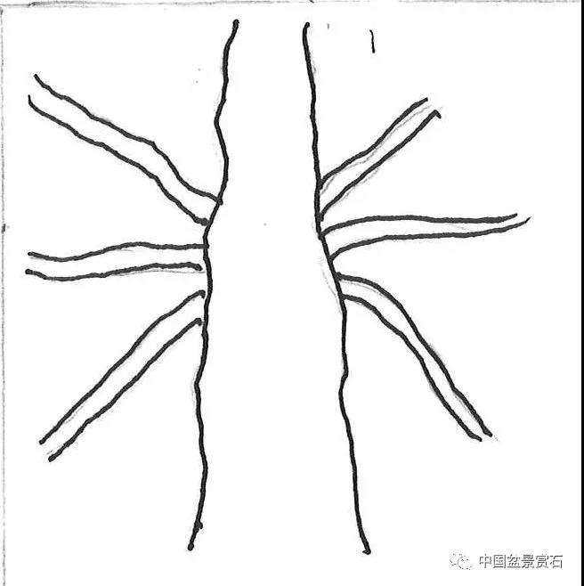 图解 盆景造型中怎么忌避枝干的5个方法