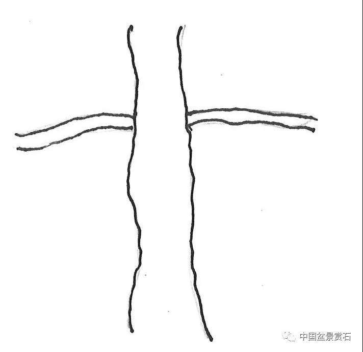 图解 盆景造型中怎么忌避枝干的5个方法