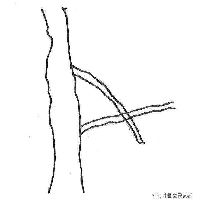 图解 盆景造型中怎么忌避枝干的5个方法
