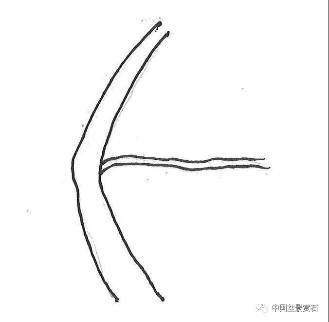 图解 盆景造型中怎么忌避枝干的5个方法