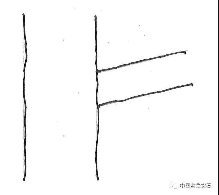 图解 盆景造型中怎么忌避枝干的5个方法