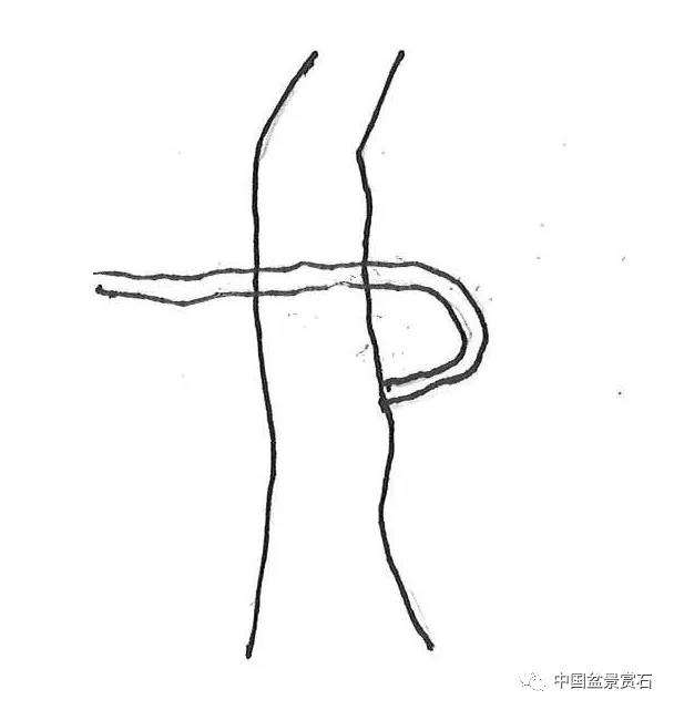 图解 盆景造型中怎么忌避枝干的5个方法