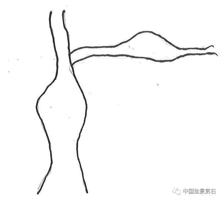 图解 盆景造型中怎么忌避枝干的5个方法