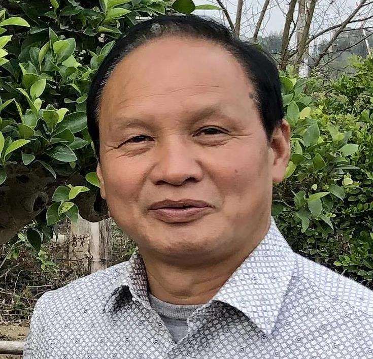 浅议石榴盆景作品的型 意 神 图片