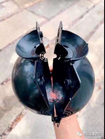 图解 三角梅盆景怎么高压的5个过程