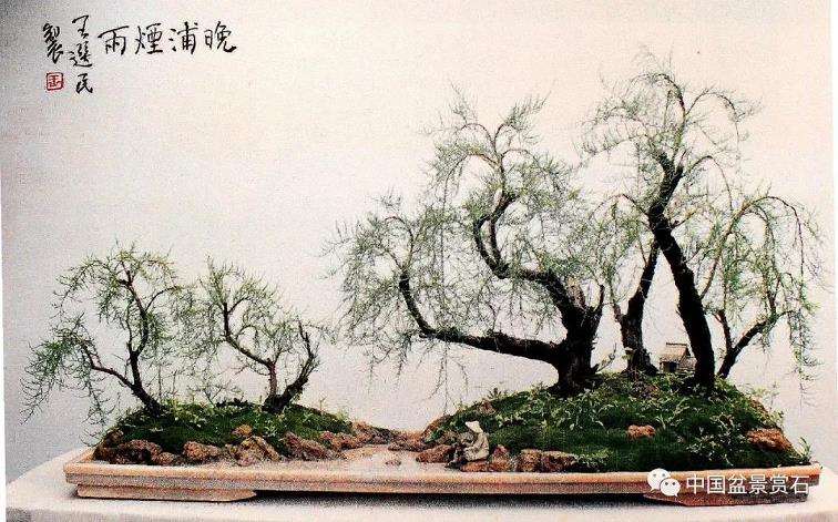 观王选民盆景作品《晚浦烟雨》有感 图片
