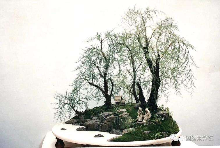 观王选民盆景作品《晚浦烟雨》有感 图片