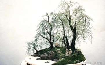 观王选民盆景作品《晚浦烟雨》有感 图片