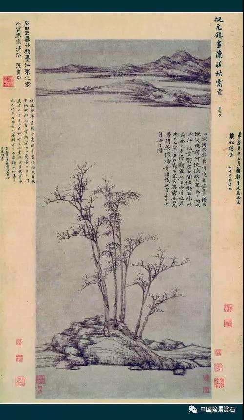 图解 罗汉松盆景怎么改作的4个步骤