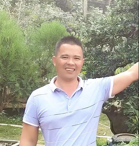 我的广西盆景是怎么获得金奖的 图片