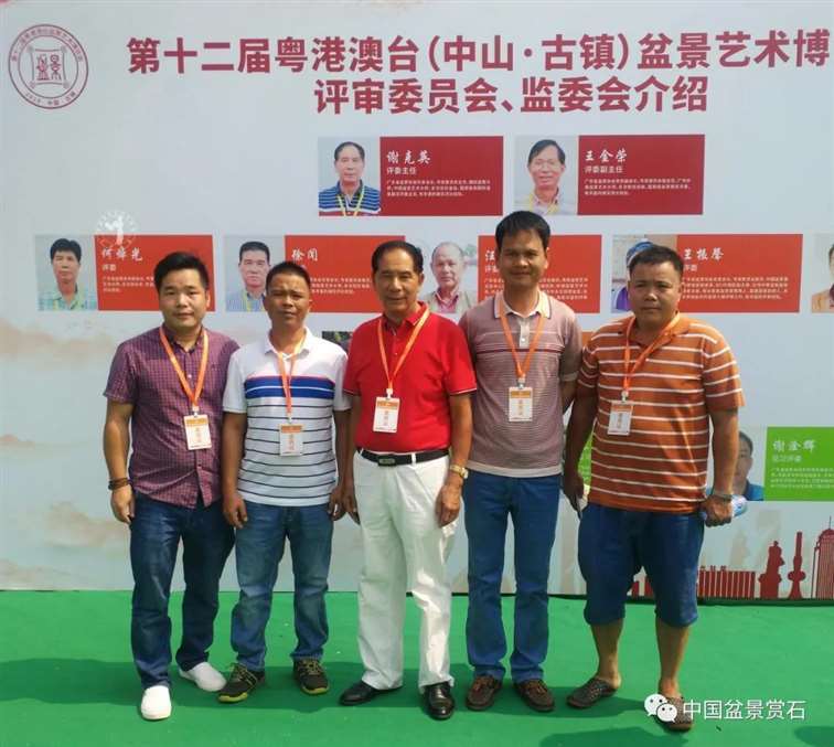 我的广西盆景是怎么获得金奖的 图片