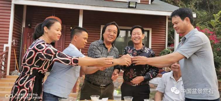 我的广西盆景是怎么获得金奖的 图片