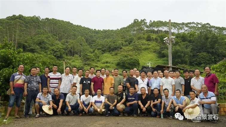 我的广西盆景是怎么获得金奖的 图片