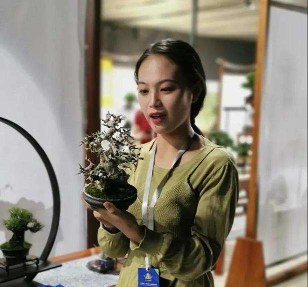 如皋小微盆景公司 年销售额达2000余万元