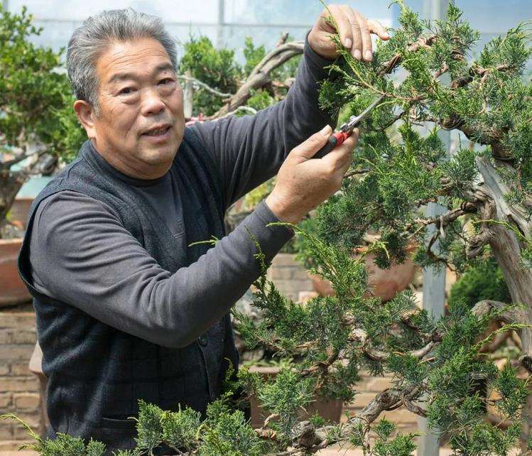 寿光 张永成的亚亨盆景园 图片