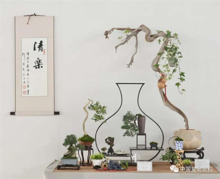 小微盆景怎么布展 如何创新升级的5个建议