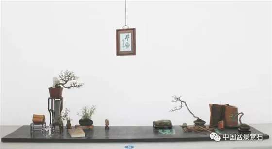 小微盆景怎么布展 如何创新升级的5个建议