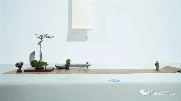 小微盆景怎么布展 如何创新升级的5个建议