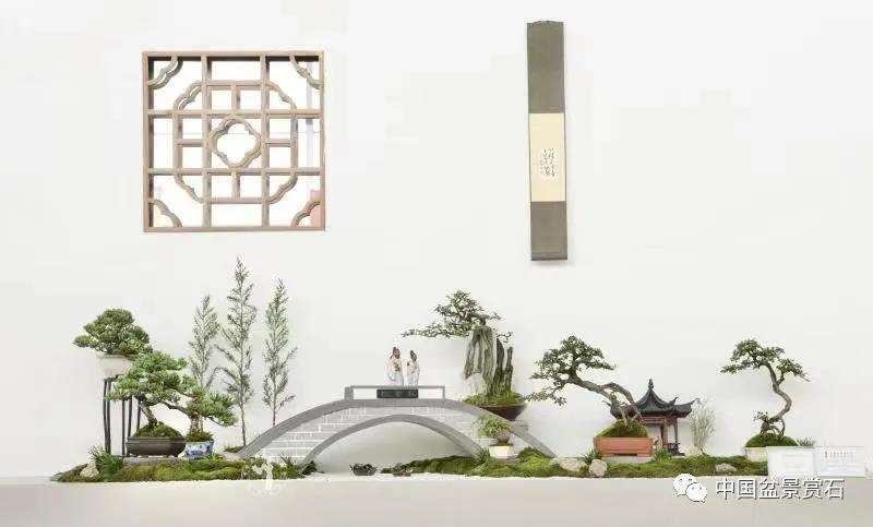 小微盆景怎么布展 如何创新升级的5个建议