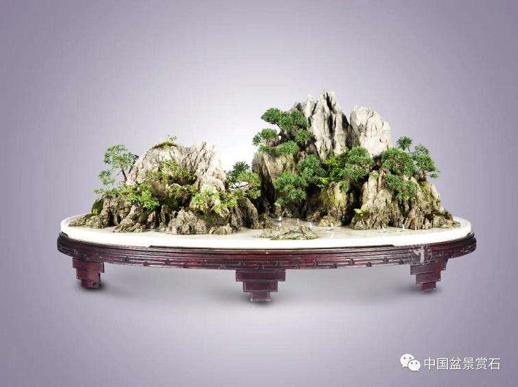 芮新华谈怎么制作山水盆景的5个问答