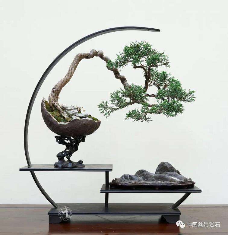 芮新华谈怎么制作山水盆景的5个问答