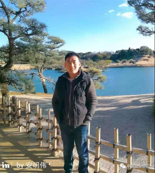 图解 安明伟怎么制作真柏盆景13个过程