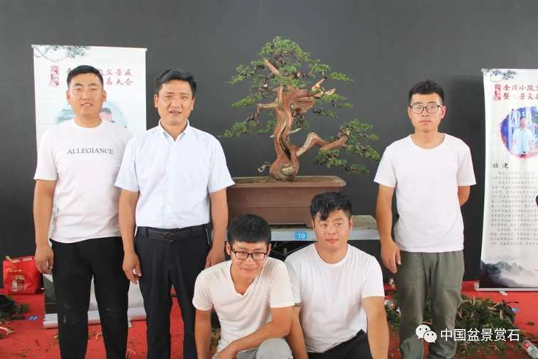 图解 安明伟怎么制作真柏盆景13个过程