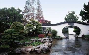 上海植物园 难留盆景师