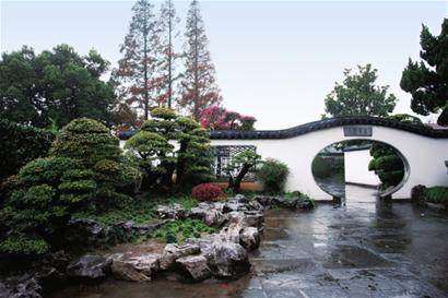 上海植物园 难留盆景师