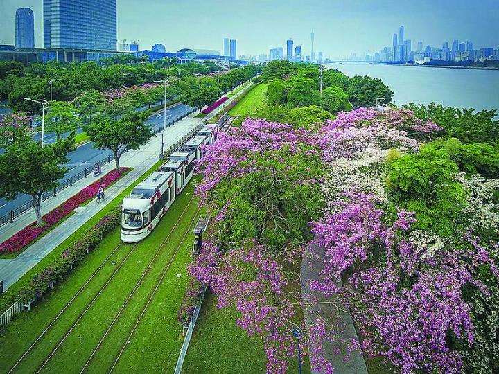 制定广州市林业和园林碳发展目标和计划