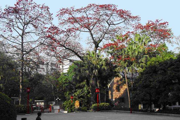 制定广州市林业和园林碳发展目标和计划