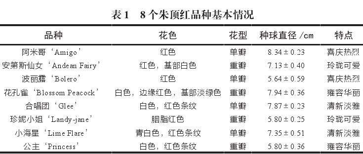深圳的朱顶红引种应用及观赏特性研究